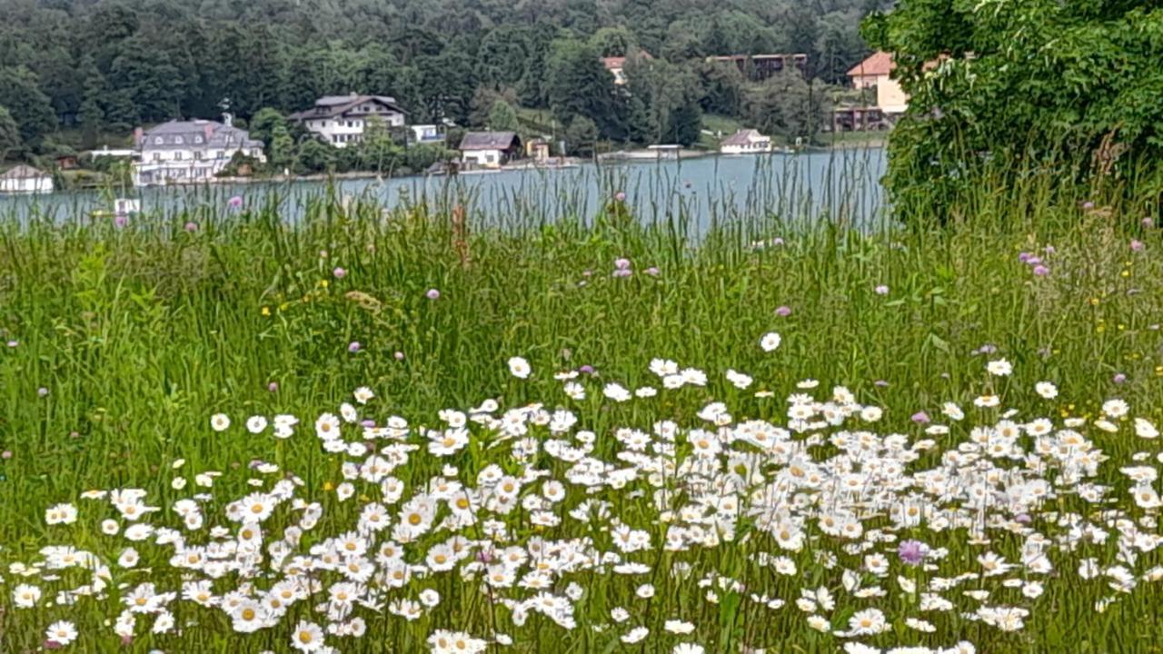 Glanz Und Gloria Velden! Woerthersee In 5 Min Zu Fuss Erreichbar! フェルデン・アム・ヴェルターゼー エクステリア 写真